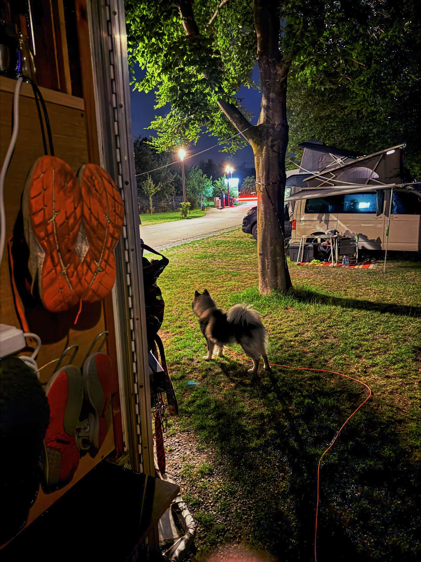 Q hält Ausschau nach Mr. B